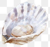 PNG Pearl invertebrate seashell seafood.