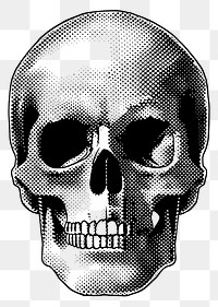 PNG Skull icon art illustrated drawing.