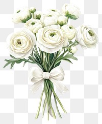 PNG Elegant white floral bouquet illustration