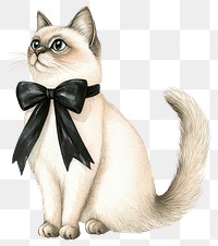 PNG Elegant cat with black bow