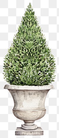 PNG Elegant potted topiary illustration art