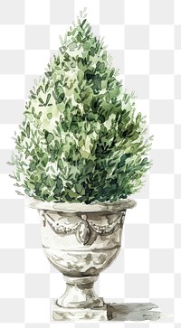 PNG Elegant watercolor potted plant