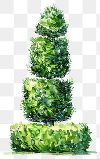 PNG Elegant topiary watercolor garden art