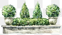 PNG Elegant watercolor garden illustration