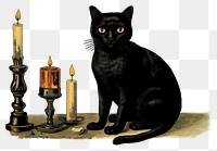 PNG Black cat with candles illustration