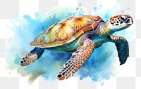 PNG Reptile drawing animal turtle. 