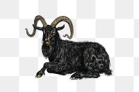 PNG Majestic black goat illustration