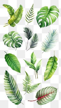 PNG watercolor tropical leaf design element set, transparent background