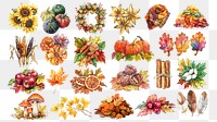 PNG autumn harvest element set, transparent background