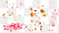 PNG falling flower petal element set, transparent background