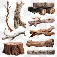 PNG driftwood element set, transparent background