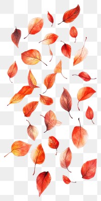 PNG Autumn leaves leaf fall illustration.