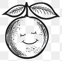 PNG Cute lemon illustrated stencil produce.