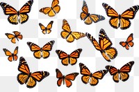 PNG  Flying plain tiger butterflies butterfly animal insect. 