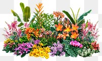 PNG Vibrant tropical flower garden