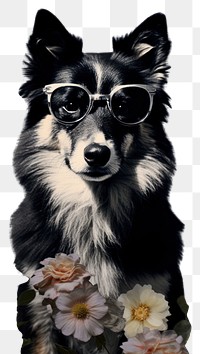 PNG Wallpaper ephemera pale Dog dog portrait glasses.