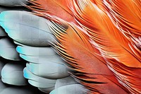 PNG Vibrant feather texture, transparent background