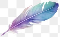 PNG Feather white background lightweight accessories.