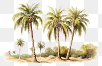 PNG Palm trees painting outdoors nature plant. 