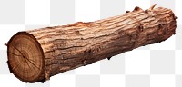 PNG Woods log plant tree white background. 