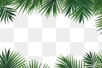 PNG  Palm leaves border backgrounds outdoors nature.