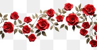 PNG Red rose floral border flower petal plant.