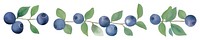 PNG Blueberries as divider watercolor blueberry produce fruit.