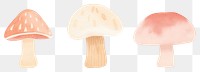 PNG Mushroom as divider watercolor amanita fungus agaric.