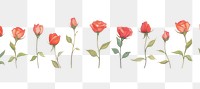 PNG Red roses buds as divider watercolor illustrated painting graphics.