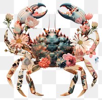 PNG Flower Collage Cancer Zodiac crab invertebrate chandelier.