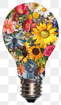 PNG Flower Collage Light bulb flower light asteraceae.