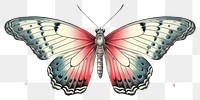 PNG Butterfly drawing sketch animal.