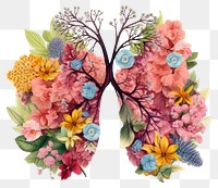 PNG  Lungs flower plant white background.