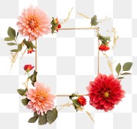 PNG  Flower dahlia wreath plant.