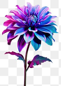 PNG Neon dahlia flower petal plant.