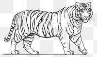 PNG Tiger outline sketch wildlife drawing animal.