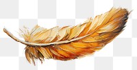 PNG  Elegant feather textured background