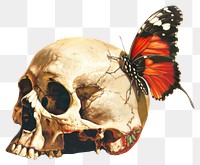 PNG  Skull butterfly artistic contrast beauty