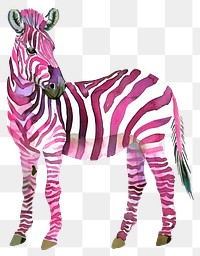 PNG  Colorful zebra watercolor illustration