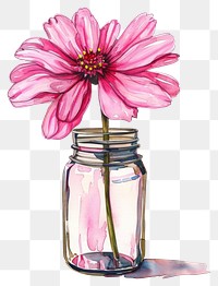 PNG  Vibrant pink flower in jar