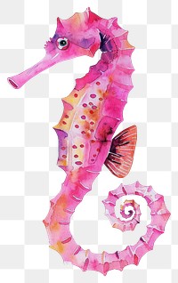 PNG  Vibrant watercolor pink seahorse illustration