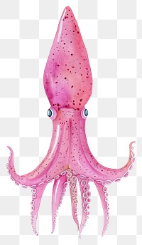 PNG  Vibrant pink squid illustration