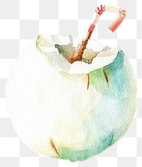 PNG  Watercolor coconut drink illustration