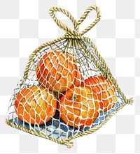 PNG  Oranges in net bag illustration