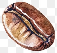 PNG  Watercolor coffee bean illustration