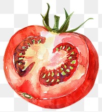 PNG  Vibrant watercolor tomato illustration