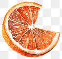 PNG  Vibrant watercolor orange slice