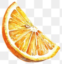 PNG  Vibrant watercolor orange slice illustration