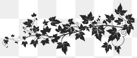 PNG  Ivy vine graphics silhouette pattern.