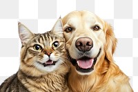 PNG Cat dog friendship happiness together